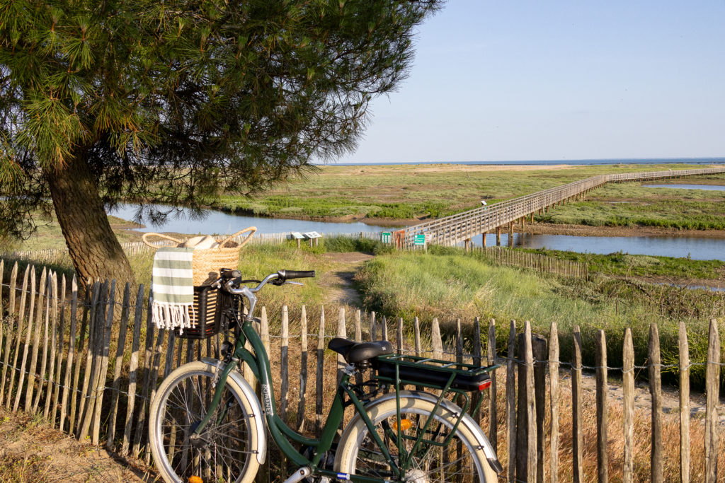 Vélo près d'un pont en bois et paysage naturel.