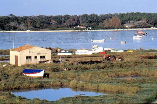 Vue d'une cabane ostréicole au bord d'un bassin.
